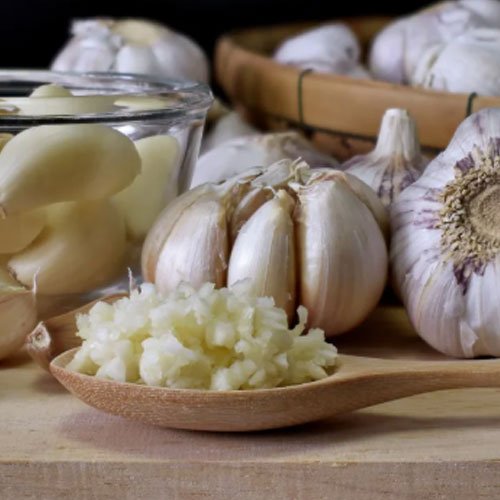 Garlic Exporters