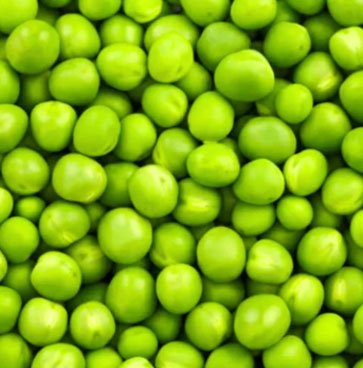 Green Matar (Pea)