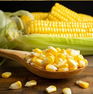 Maize