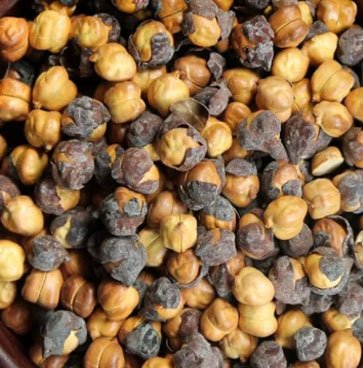 Roasted Gram ((Bhuna Chana)